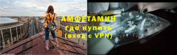 PSILOCYBIN Горняк