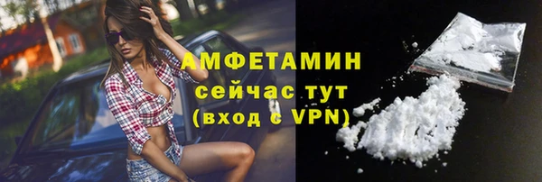 PSILOCYBIN Горняк