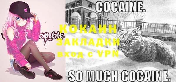 apvp Вяземский