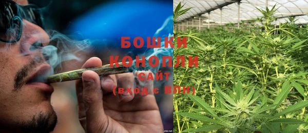 PSILOCYBIN Горняк