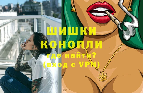 гидра Горно-Алтайск