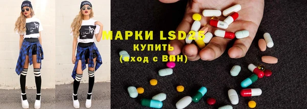 PSILOCYBIN Горняк