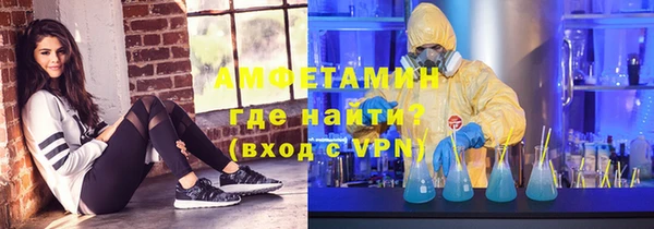 PSILOCYBIN Горняк