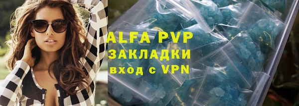 PSILOCYBIN Горняк
