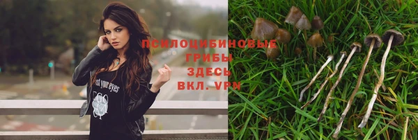 гидра Горно-Алтайск