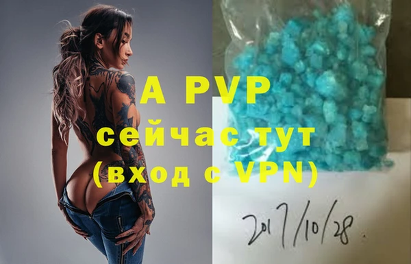 spice Горнозаводск