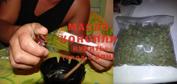 гидра Горно-Алтайск